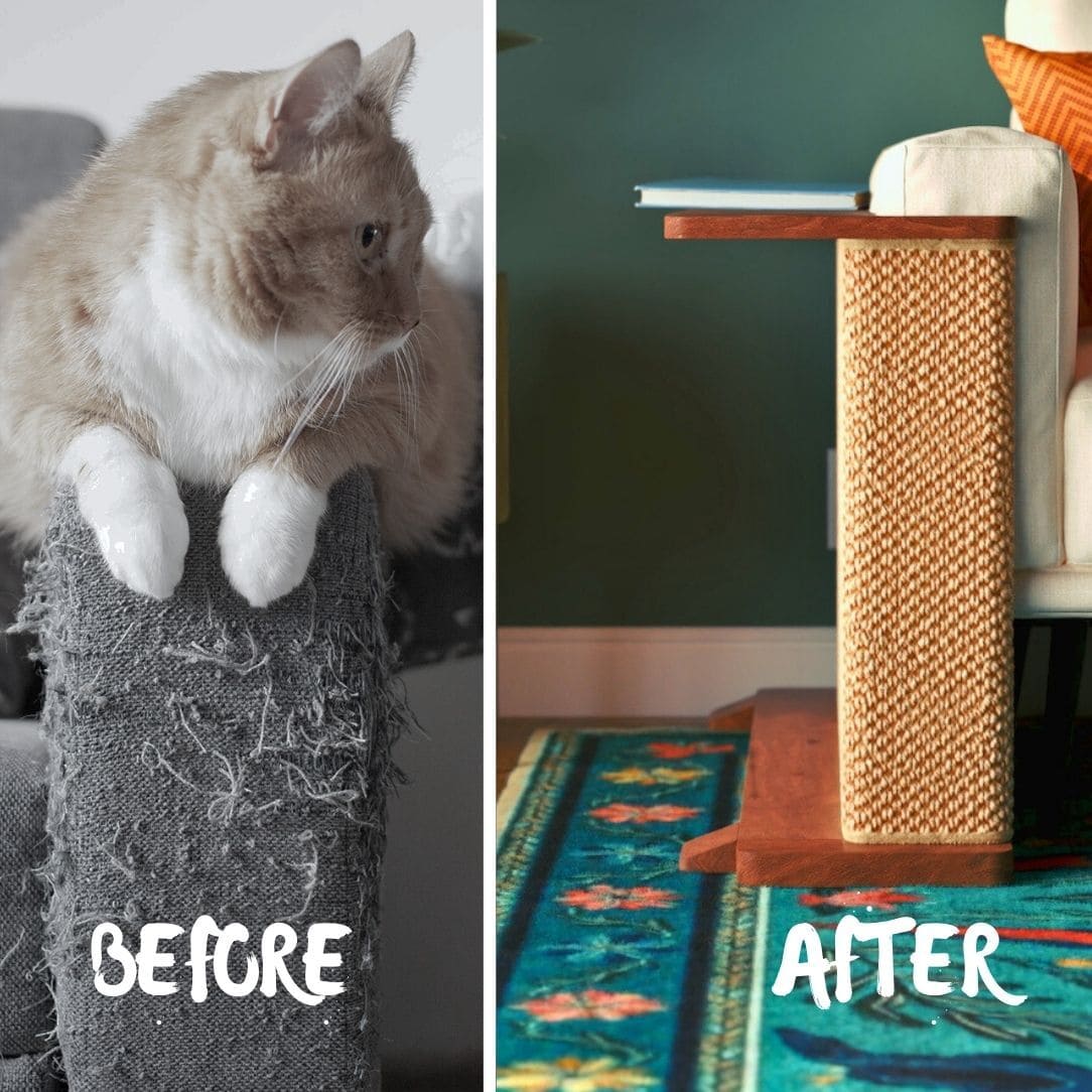 CozeCat Side Table